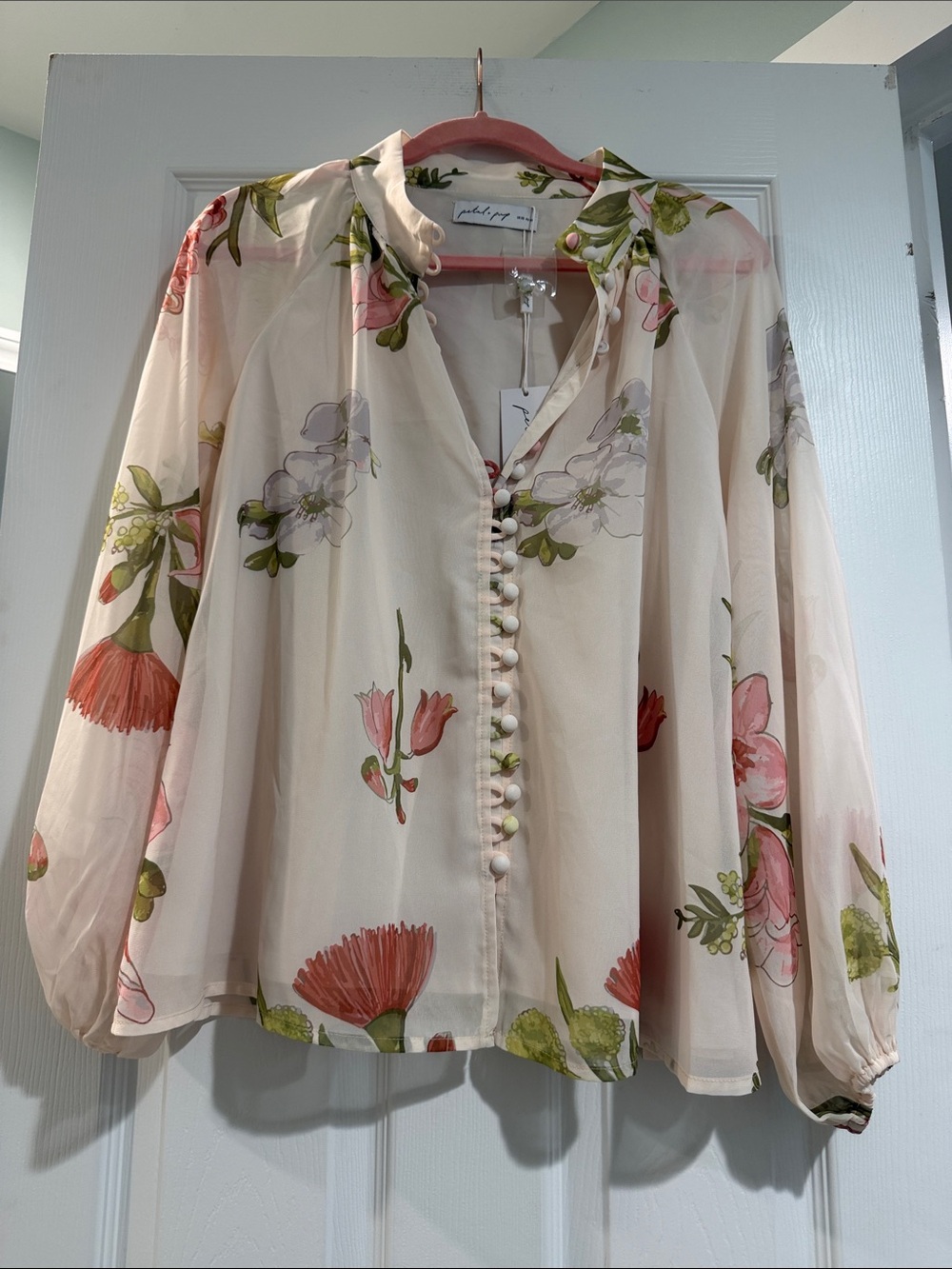 Petal & Pup Sheer Floral Button-Front Blouse in Cream, Pink & Green